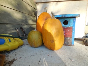 porch pumpkins